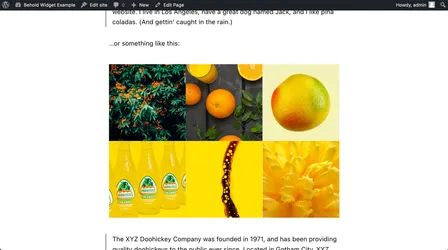 The wordpress gutenberg editor for a sample page